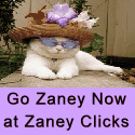 Zaney Clicks