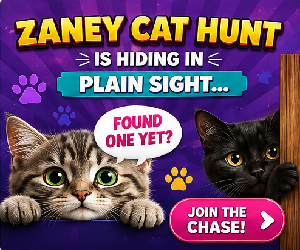 300x250 Banner Ad